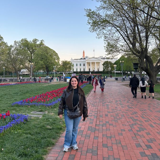 Het Witte Huis in Washington DC