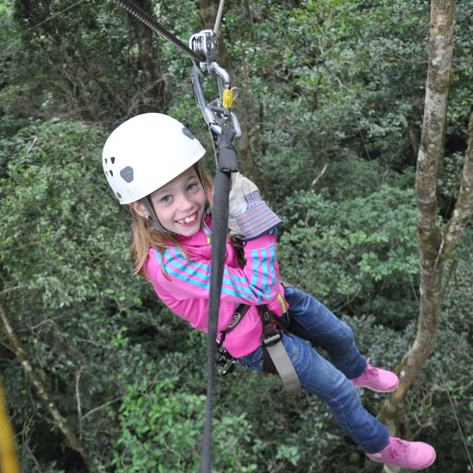 Canopy in Monteverde