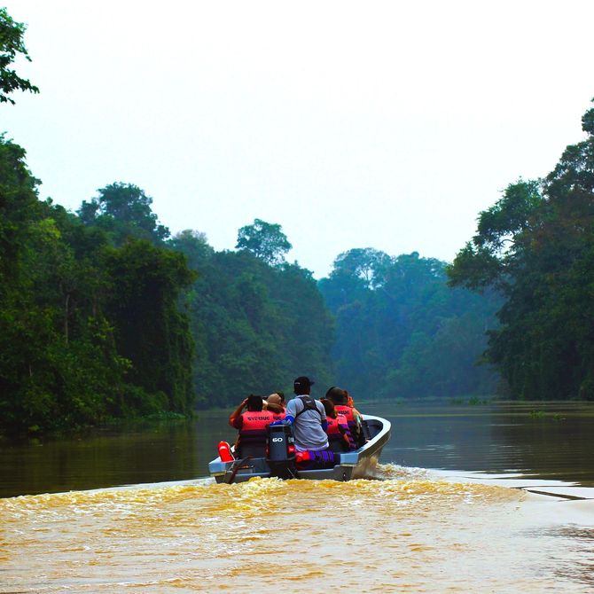 Boottocht over de Kinabatangan rivier