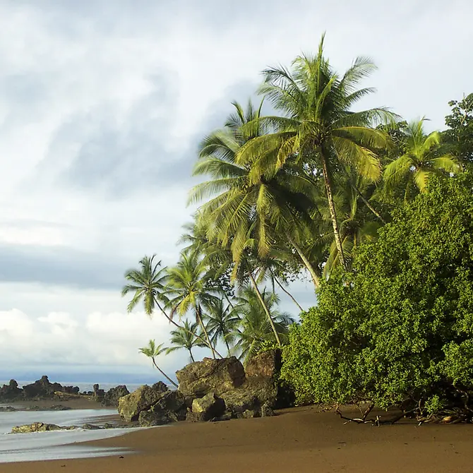 Corcovado National Park Drake Bay