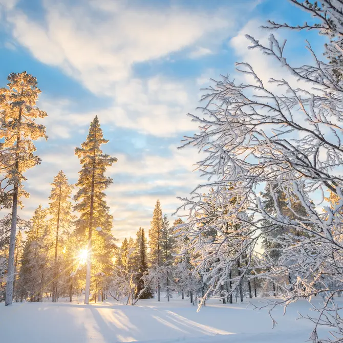 Winter in Fins Lapland