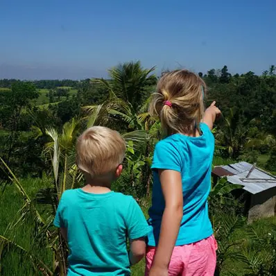 Rijstterrassen in Bali