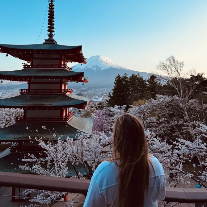 Uitzicht op Mount Fuji