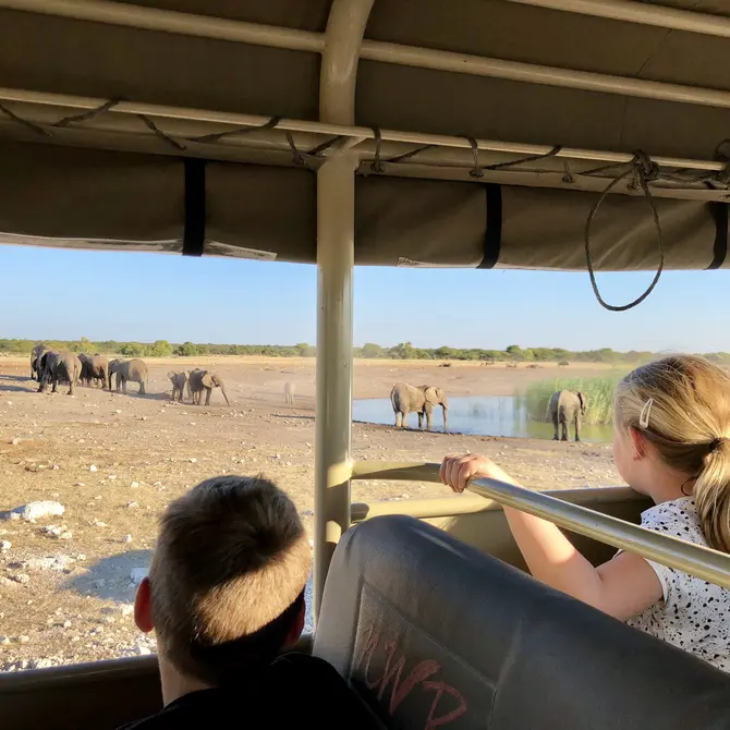 Op safari in Etosha National Park
