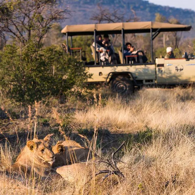 Op game drive in Madikwe Game Reserve.