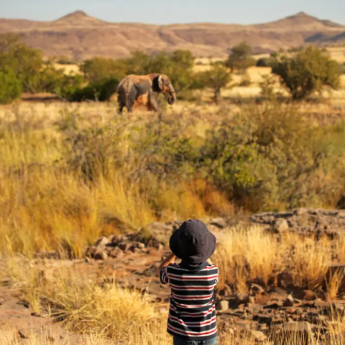 Kind spot olifant tijdens safari