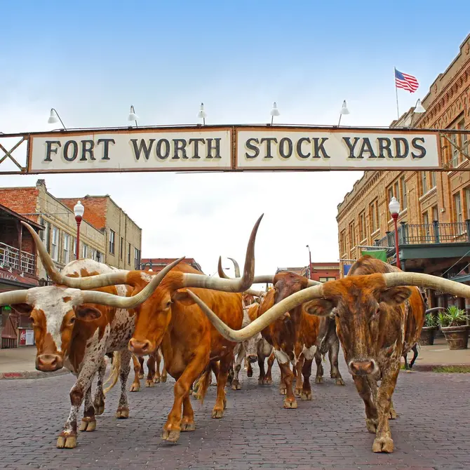 Fort Worth Stock Yards in Texas