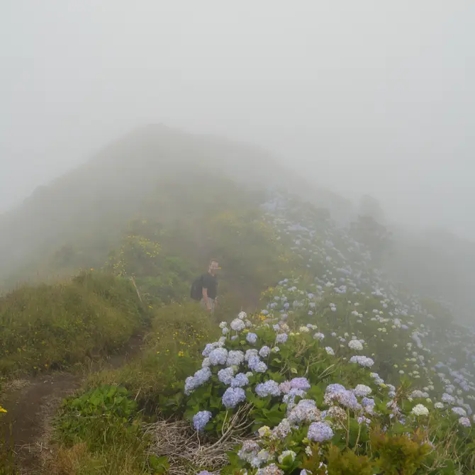 In de mist op Faial