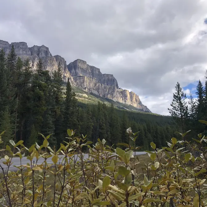 Bow Valley Parkway