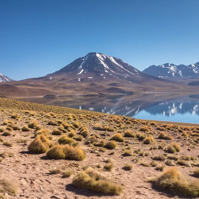 Atacamawoestijn