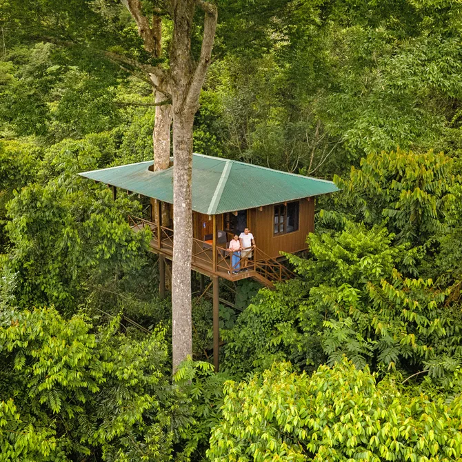 Boomhut in Maquenque Eco Lodge