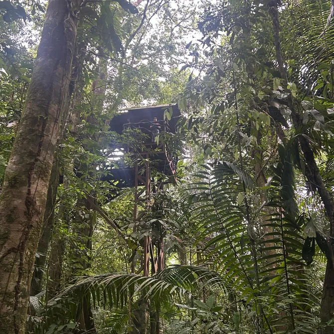 Boomhut van Maquenque Ecolodge