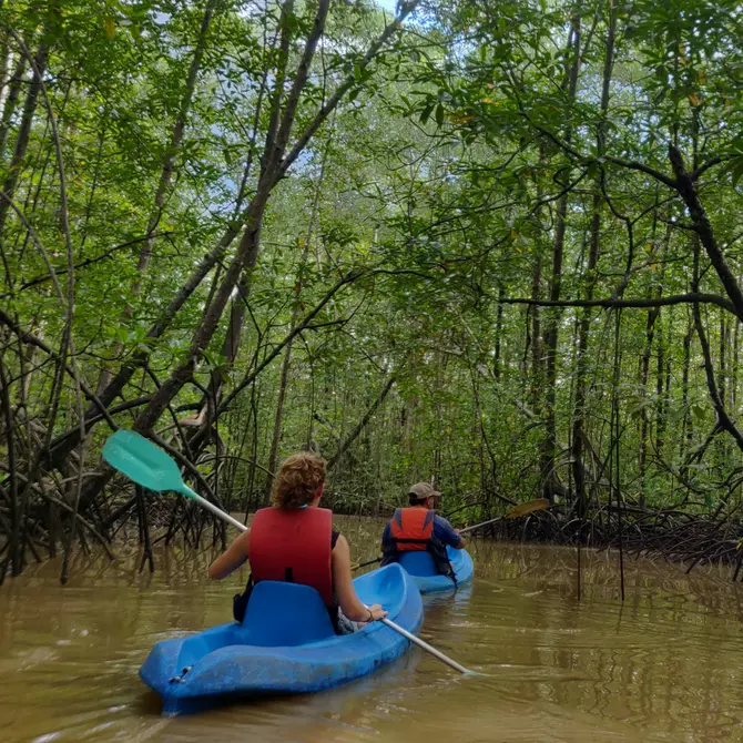 Twee personen varen in een kajak door de mangrove van Manuel Antonio in Costa Rica