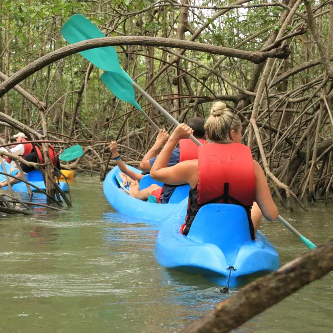 Kajakken door de mongrove in Tamarindo