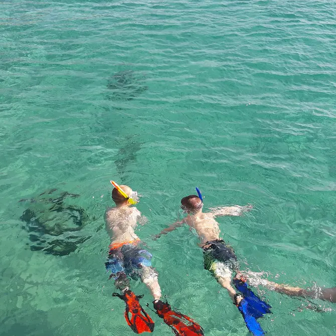 Snorkelen met schildpadden op Curacao