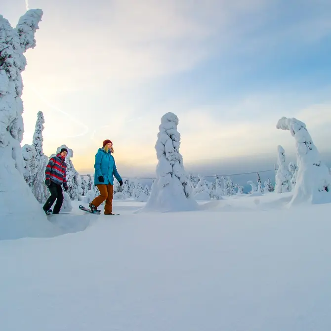 Sneeuw wandeling in Fins Lapland