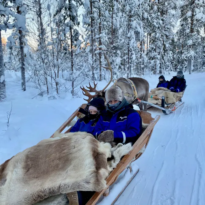 Rendiersafari in Lapland