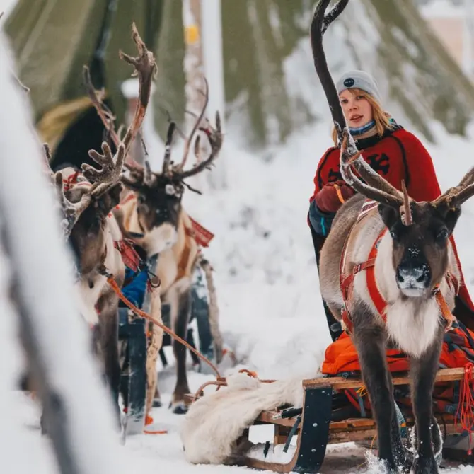 Rendierslede in Fins Lapland