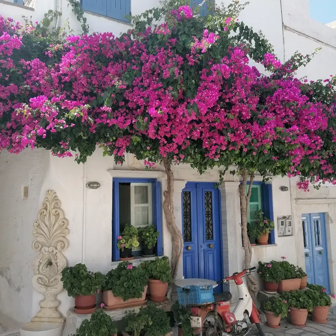 Tinos