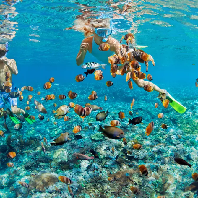 Snorkelen bij Pemuteran