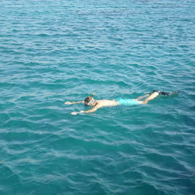Snorkelen in Aqaba