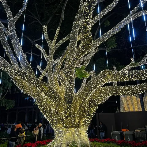 Kerstversiering in Mexicostad