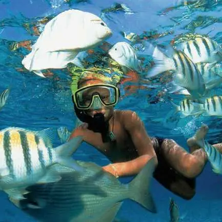 Snorkelen in Mexico