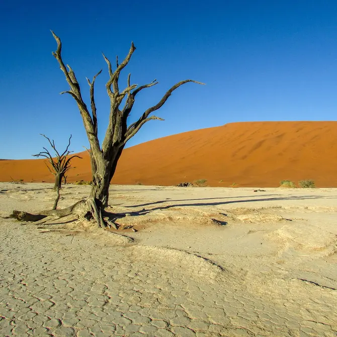 Namibië met kinderen Naukluft National Park