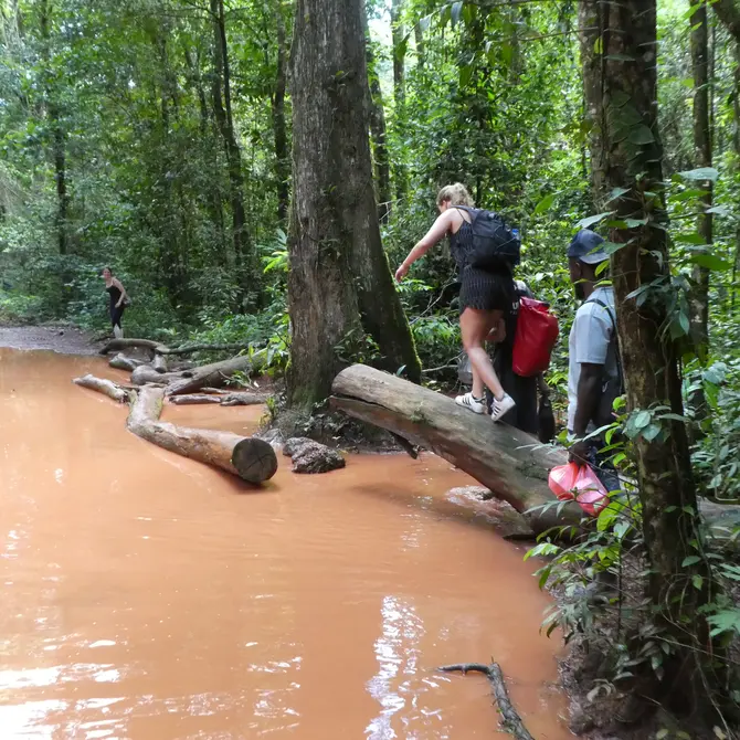 Brownsberg, Suriname