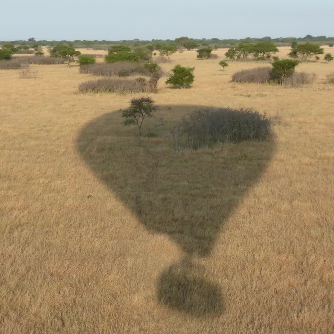 Met de luchtballon boven de Serengeti