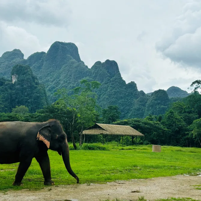 Elephant Hills, Thailand