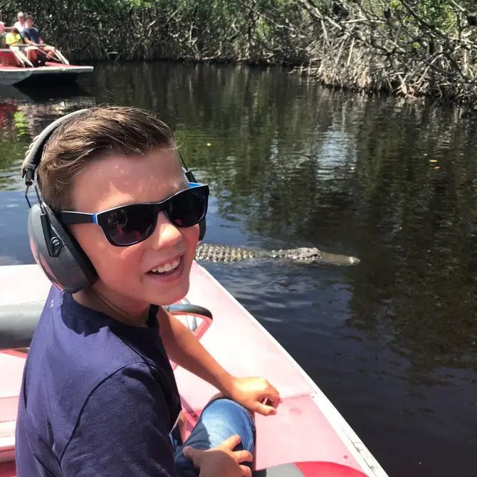 Alligators in de Everglades