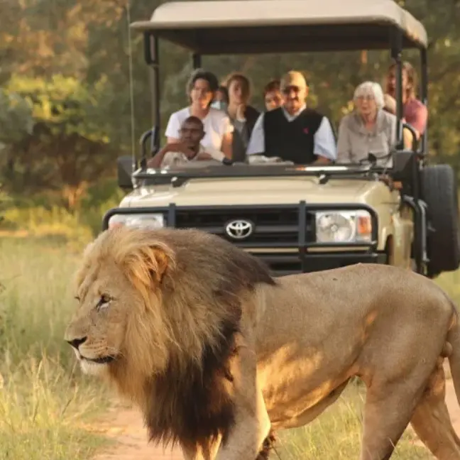 Op safari in Entabeni Game Reserve