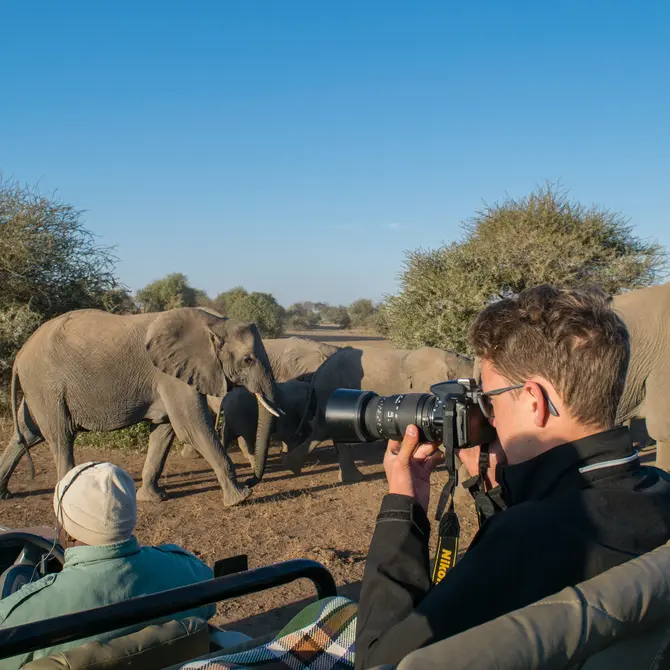Safari in het Krugerpark