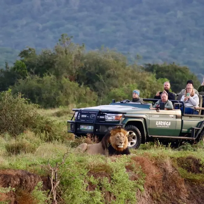Op safari in Kariega