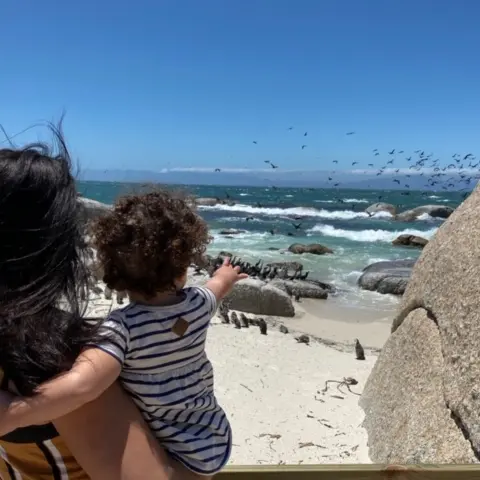 Pinguins kijken bij Boulders Beach.