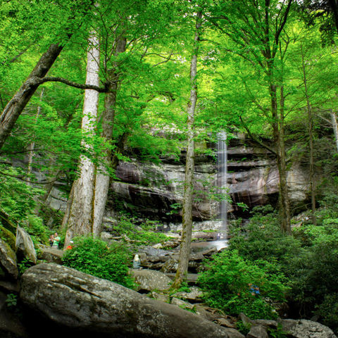 Afbeelding omschrijving