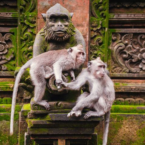 Afbeelding omschrijving