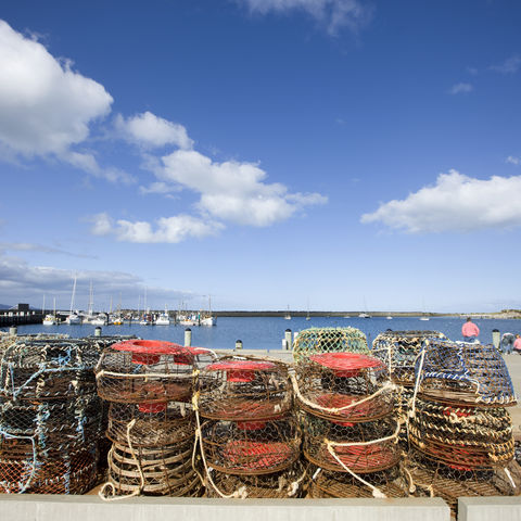 Afbeelding omschrijving