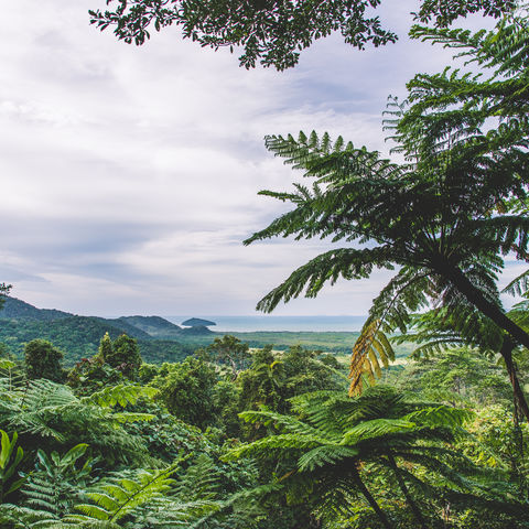 Afbeelding omschrijving