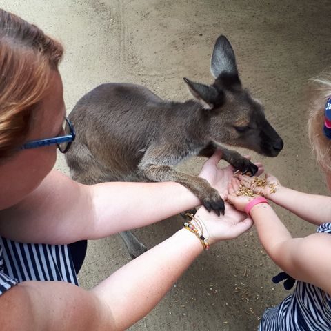 Afbeelding omschrijving