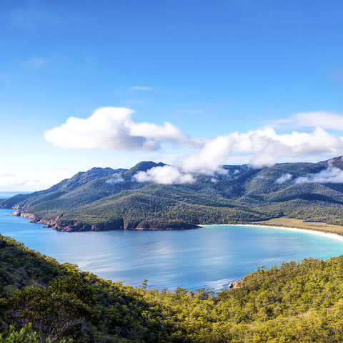 Afbeelding omschrijving