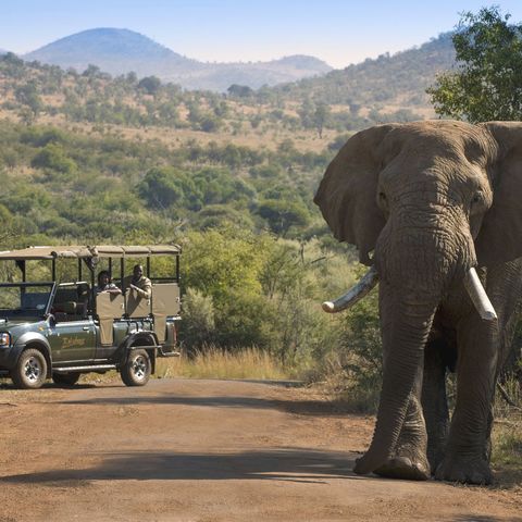 Afbeelding omschrijving