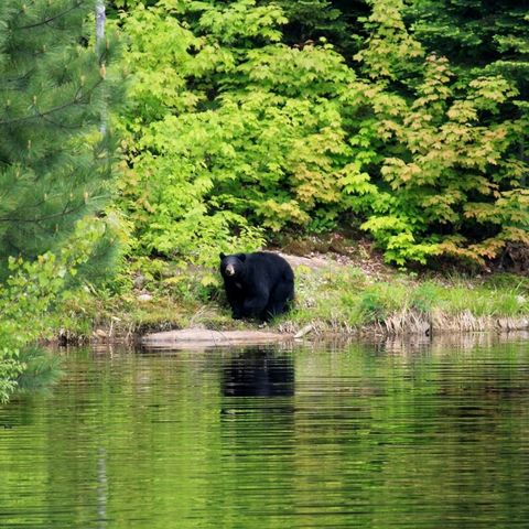 Afbeelding omschrijving