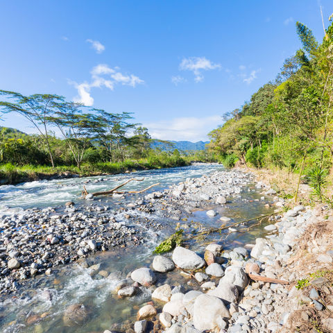 Afbeelding omschrijving