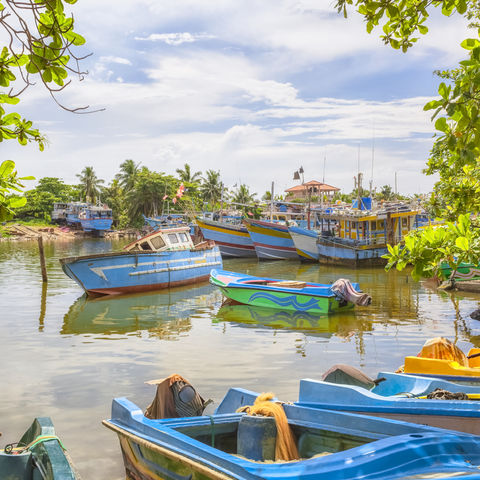 Afbeelding omschrijving