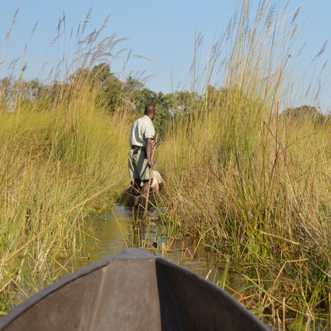 Afbeelding omschrijving