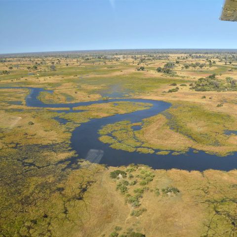 Afbeelding omschrijving