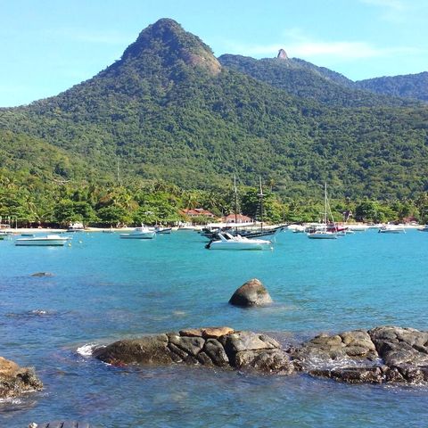 Afbeelding omschrijving