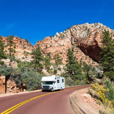 Afbeelding omschrijving